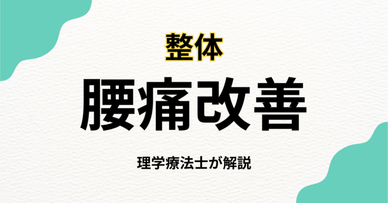 理学療法士が解説する整体で腰痛を改善する方法｜Habi Gym