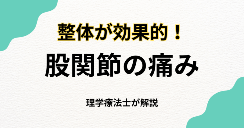 股関節の痛みは整体で改善できる？原因と施術法を徹底解説｜Habi Gym