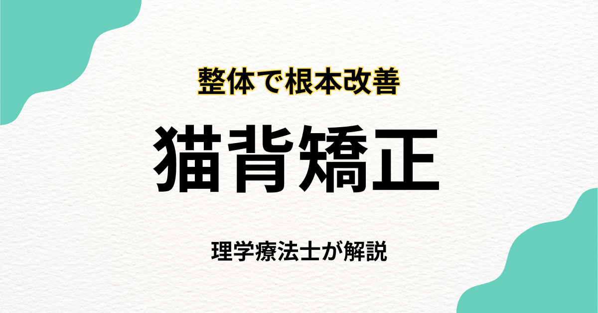 猫背矯正 整体で姿勢と不調を根本から見直す方法|Habi Gym