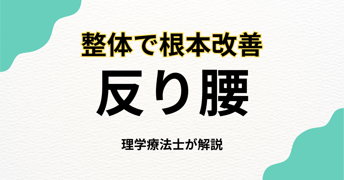 反り腰を整体で根本改善する方法｜Habi Gym