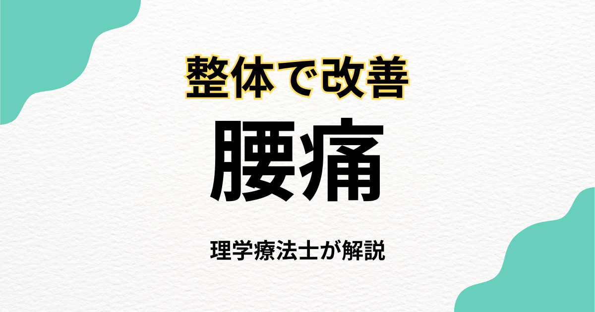 腰痛を整体で改善する方法と選び方｜Habi Gym