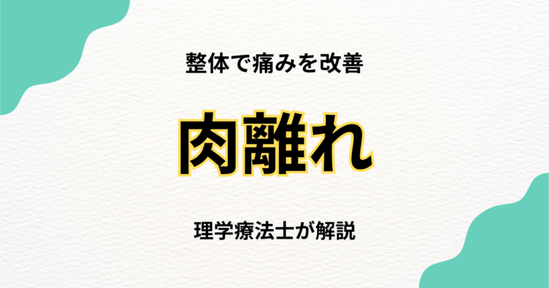 肉離れの回復を支える整体アプローチ｜Habi Gym
