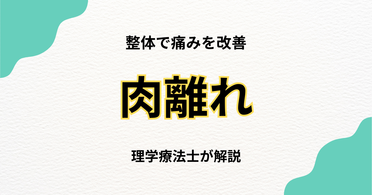 肉離れの回復を支える整体アプローチ|Habi Gym