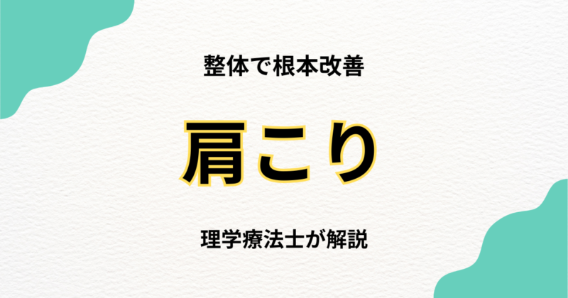 世田谷で肩こりを解消する整体の選び方｜Habi Gym