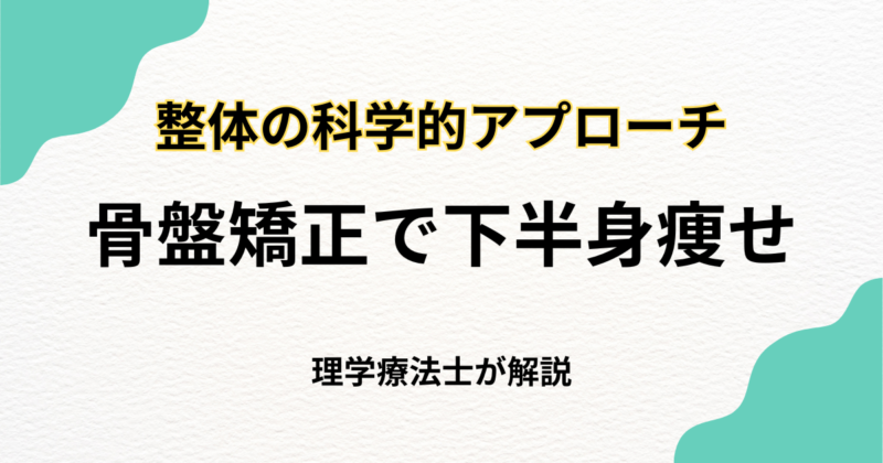 骨盤矯正で下半身痩せを実現する整体の科学的アプローチ｜Habi Gym