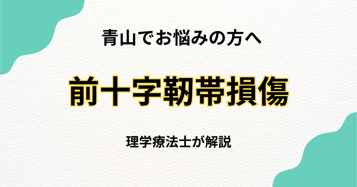 青山で前十字靱帯損傷の整体なら|Habi Gym