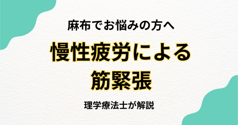 麻布で慢性疲労による筋緊張を解消する整体完全ガイド｜Habi Gym