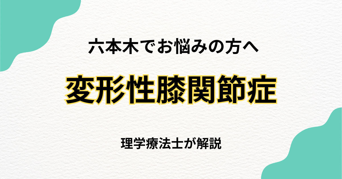 六本木で変形性膝関節症を改善する整体の選び方|Habi Gym