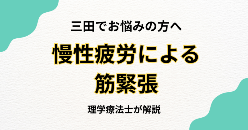 三田で慢性疲労による筋緊張を解消する整体完全ガイド｜Habi Gym