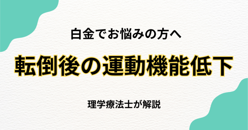 白金 転倒後の運動機能低下 整体で回復する方法｜Habi Gym