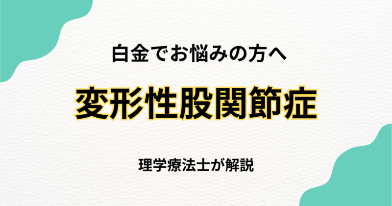 白金で変形性膝関節症を改善する整体の選び方｜Habi Gym