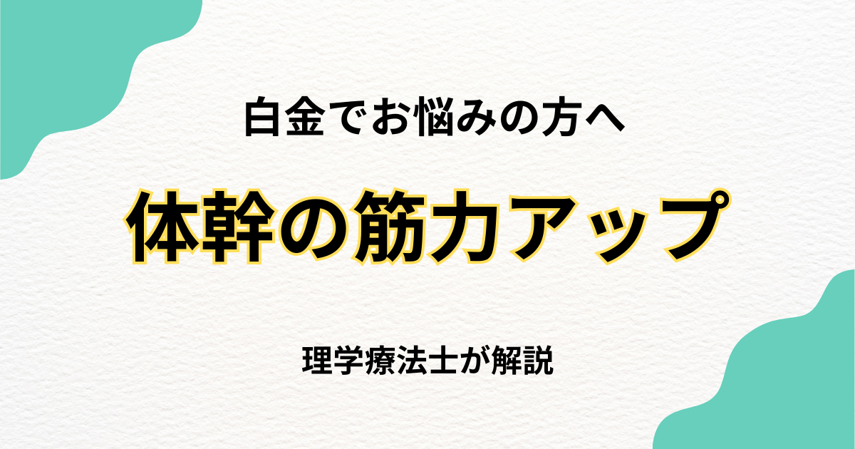白金で体幹筋機能低下を改善する整体の選び方|Habi Gym