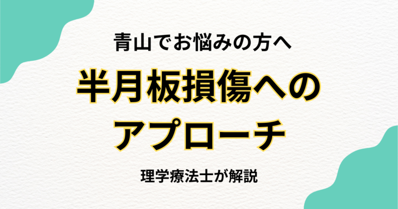 青山で半月板損傷に悩む方へ贈る整体ガイド｜Habi Gym