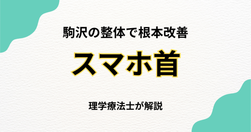 駒沢で改善するスマホ首｜整体のアプローチと理学療法士の見解｜Habi Gym