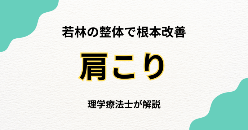 若林で肩こりを根本改善する整体の選び方｜Habi Gym