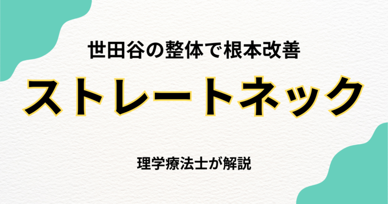 世田谷でストレートネック改善なら整体を｜Habi Gym