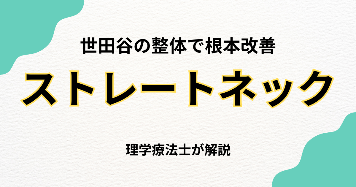 世田谷でストレートネック改善なら整体を｜Habi Gym