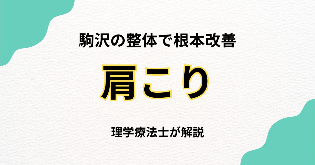 駒沢で肩こりを根本改善する整体の選び方|Habi Gym