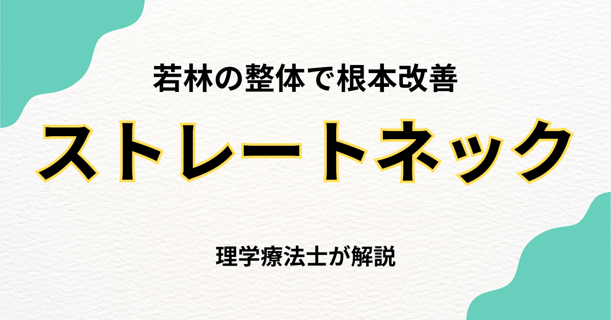 若林でストレートネック改善｜整体の選び方｜Habi Gym