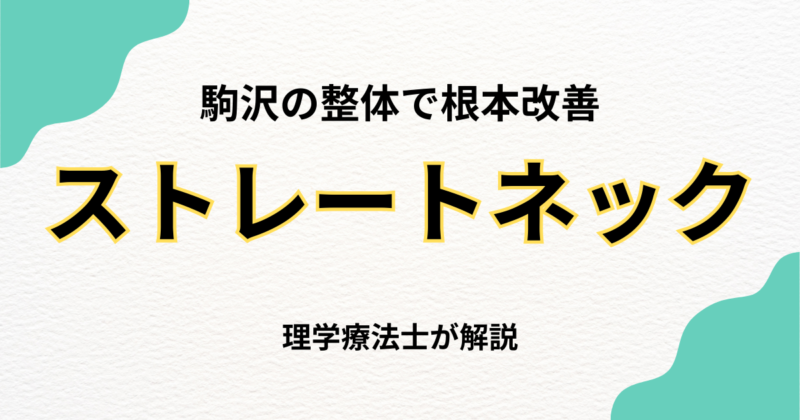 駒沢で改善を目指す！ストレートネック整体ガイド｜Habi Gym