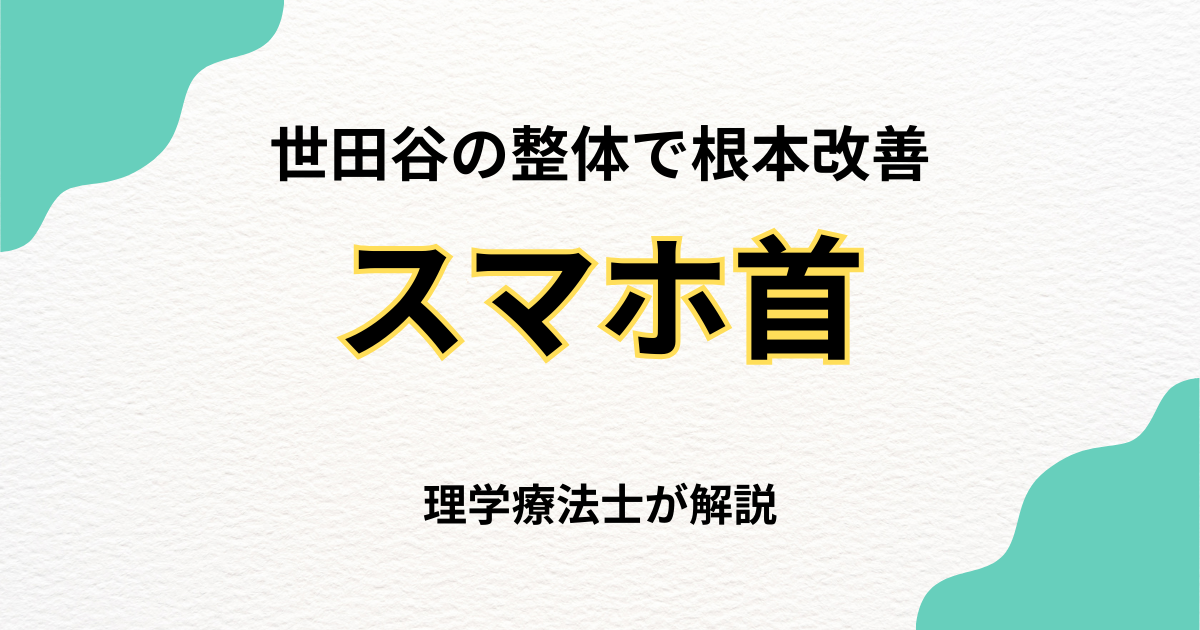 世田谷でスマホ首を改善する整体の選び方｜Habi Gym