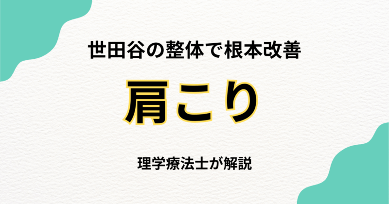 世田谷で肩こりを根本改善する整体の選び方｜Habi Gym