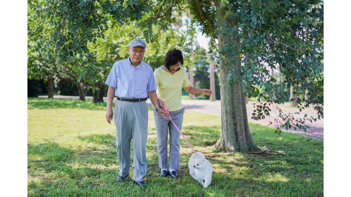 60代から始める運動習慣|人生100年時代を元気に生きるための整体×ピラティス完全ガイド