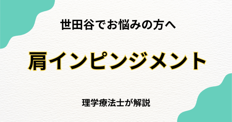世田谷で肩関節インピンジメント症候群を整体で改善する方法｜Habi Gym