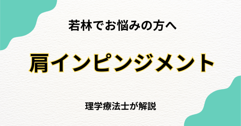 若林で肩関節インピンジメント症候群を整体で改善する方法｜Habi Gym