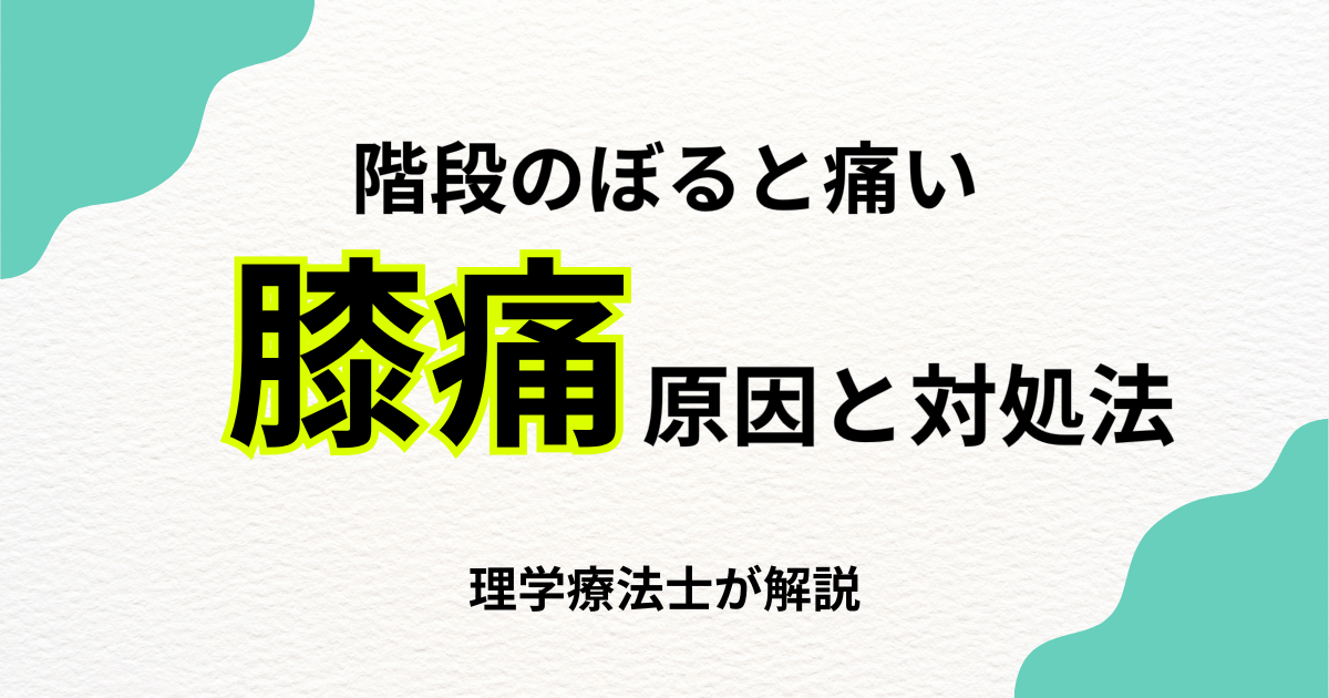 階段を上ると膝が痛い原因と対処法【理学療法士監修】|Habi Gym