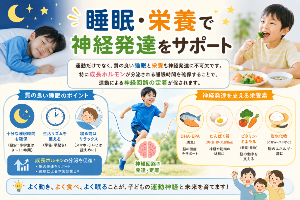 睡眠・栄養で神経発達をサポート
運動だけでなく、質の良い睡眠と栄養も神経発達に不可欠です。 特に成長ホルモンが分泌される睡眠時間を確保することで、 運動による神経回路の定着が促されます。