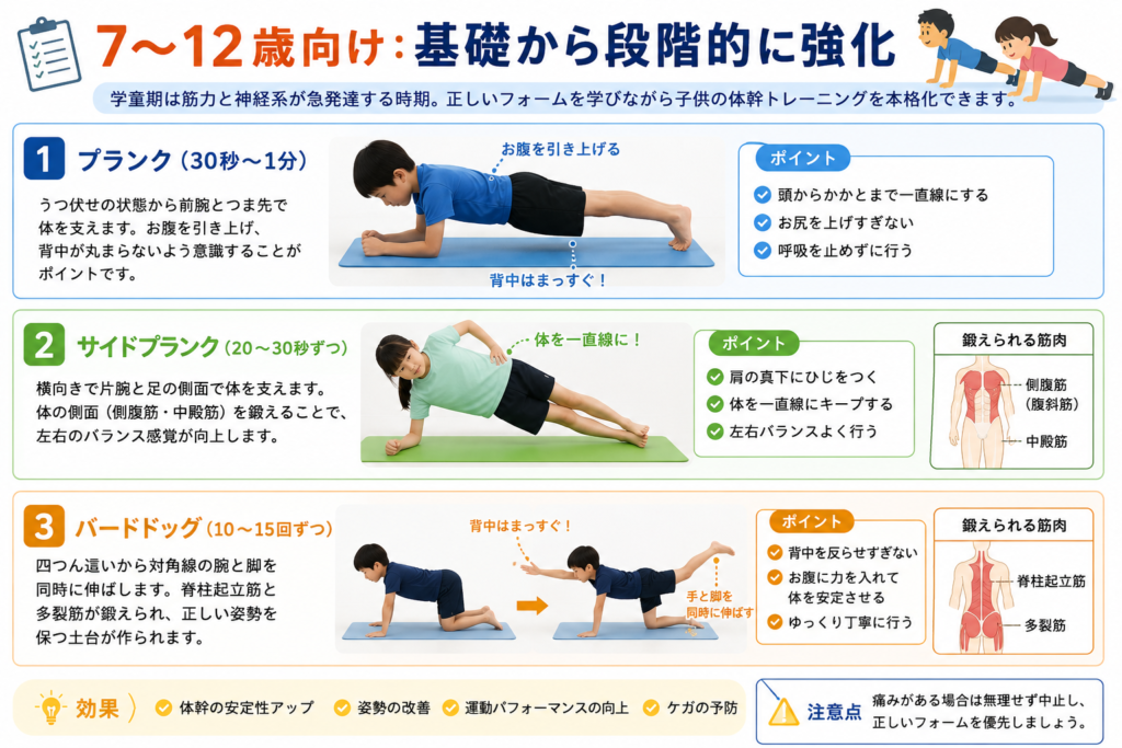 7〜12歳向け:基礎から段階的に強化
学童期は筋力と神経系が急発達する時期。正しいフォームを学びながら子供の体幹トレーニングを本格化できます。
プランク(30秒〜1分):うつ伏せの状態から前腕とつま先で体を支えます。お腹を引き上げ、背中が丸まらないよう意識することがポイントです。
サイドプランク:横向きで片腕と足の側面で体を支えます。体の側面(側腹筋・中殿筋)を鍛えることで、左右のバランス感覚が向上します。
バードドッグ:四つん這いから対角線の腕と脚を同時に伸ばします。脊柱起立筋と多裂筋が鍛えられ、正しい姿勢を保つ土台が作られます。