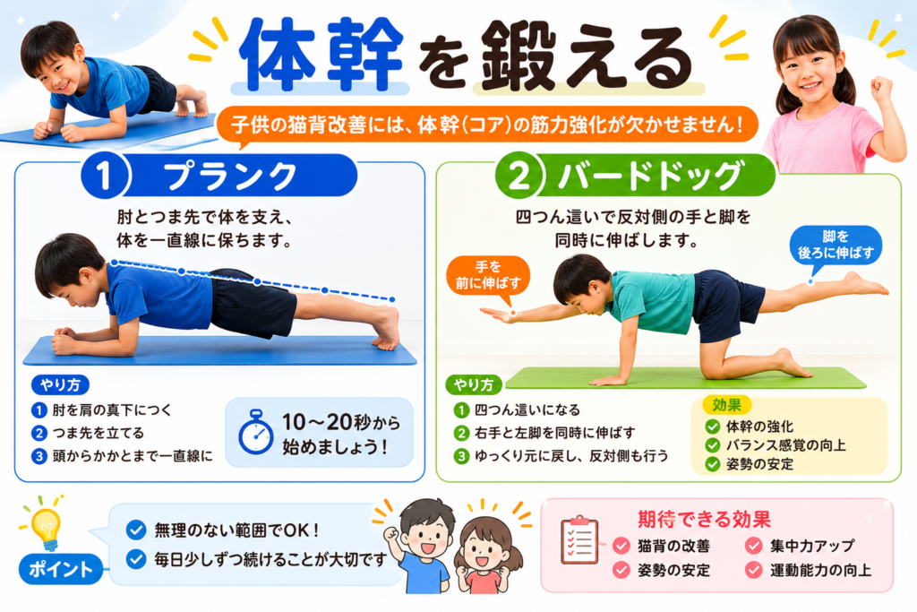 体幹を鍛えるエクササイズ