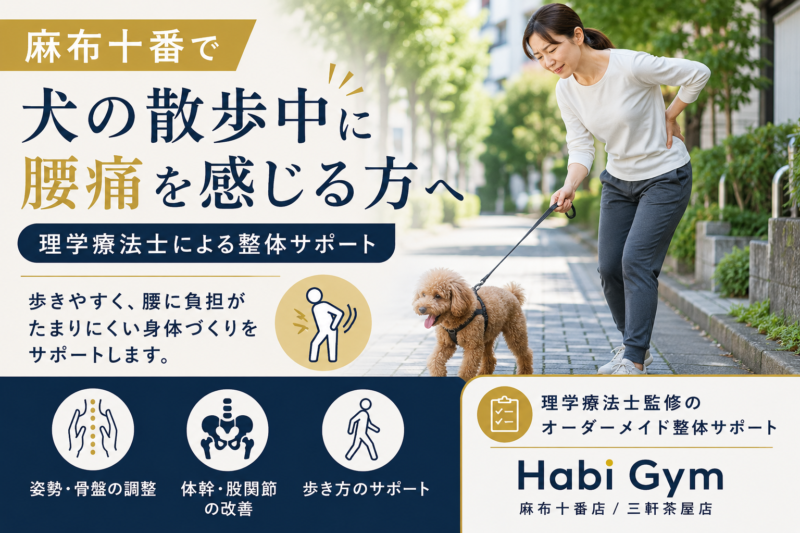 麻布十番で散歩中の腰痛対策｜理学療法士監修｜Habi Gym