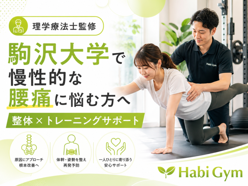 理学療法士監修｜駒沢大学で慢性的な腰痛に悩む方へ｜整体×トレーニングサポート｜Habi Gym