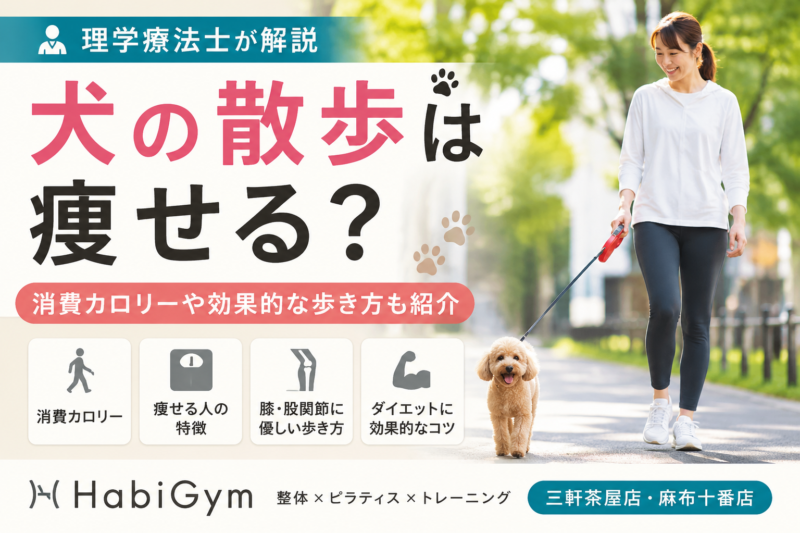 毎日犬の散歩してるのに痩せない？理学療法士が原因を解説｜HabiGym