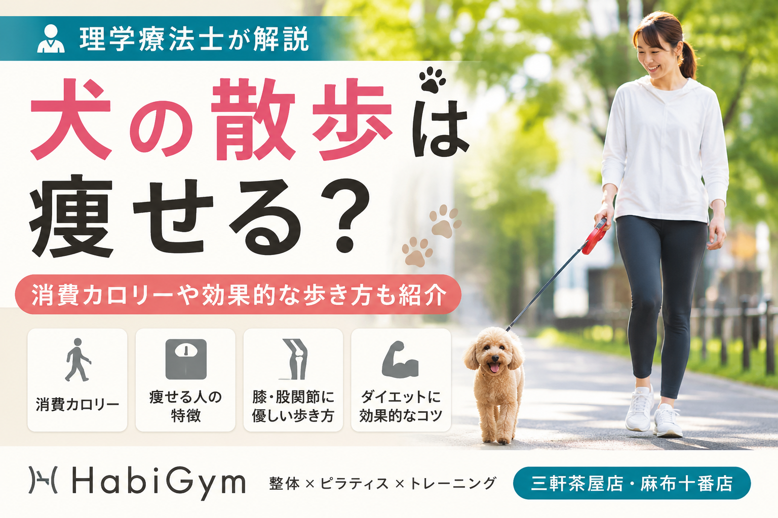 毎日犬の散歩してるのに痩せない？理学療法士が原因を解説｜HabiGym