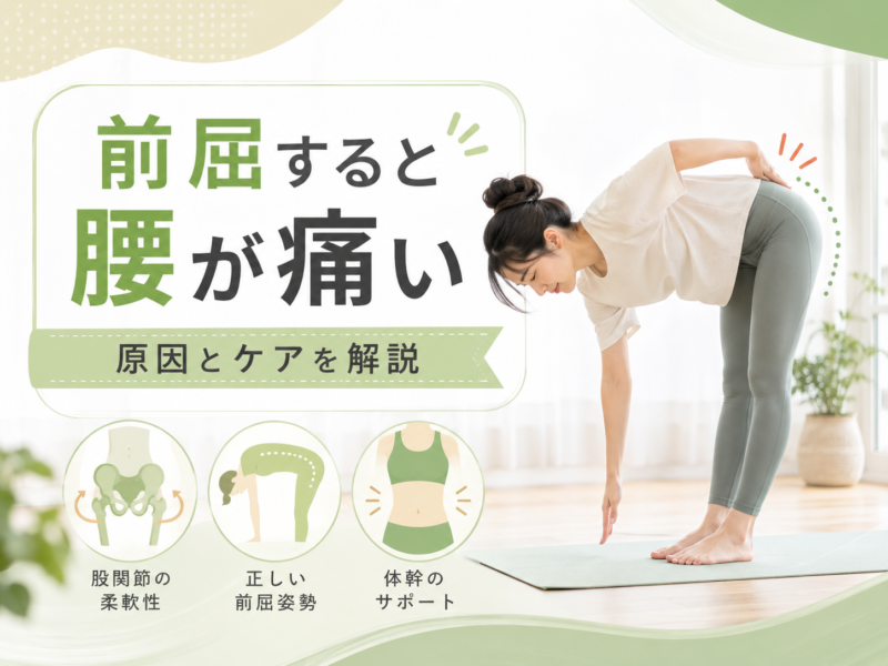 前屈すると腰が痛い原因とは｜股関節と体幹から見直す腰痛ケア｜Habi Gym