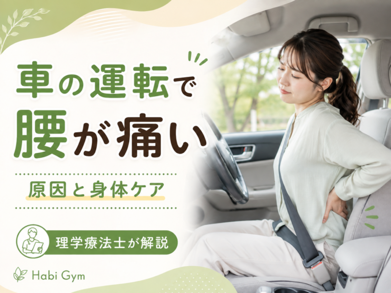 車の運転で腰が痛い原因とは｜姿勢・股関節・体幹から解説｜Habi Gym